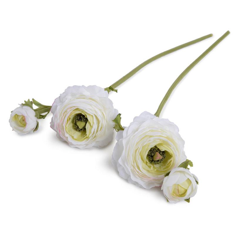 Ranunculus Flower Stem, White