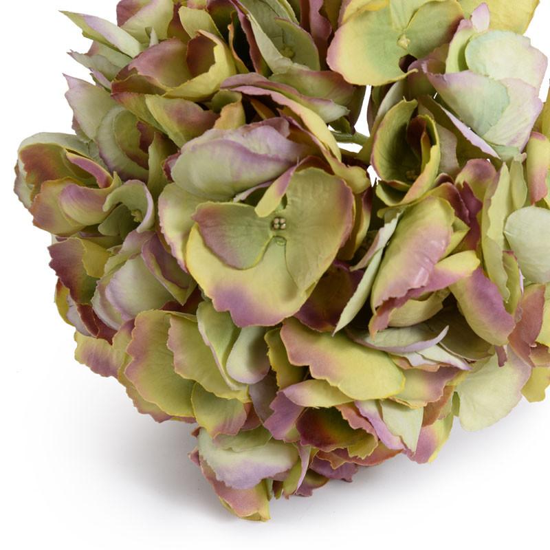 Hydrangea Flower Stem - New Growth Designs