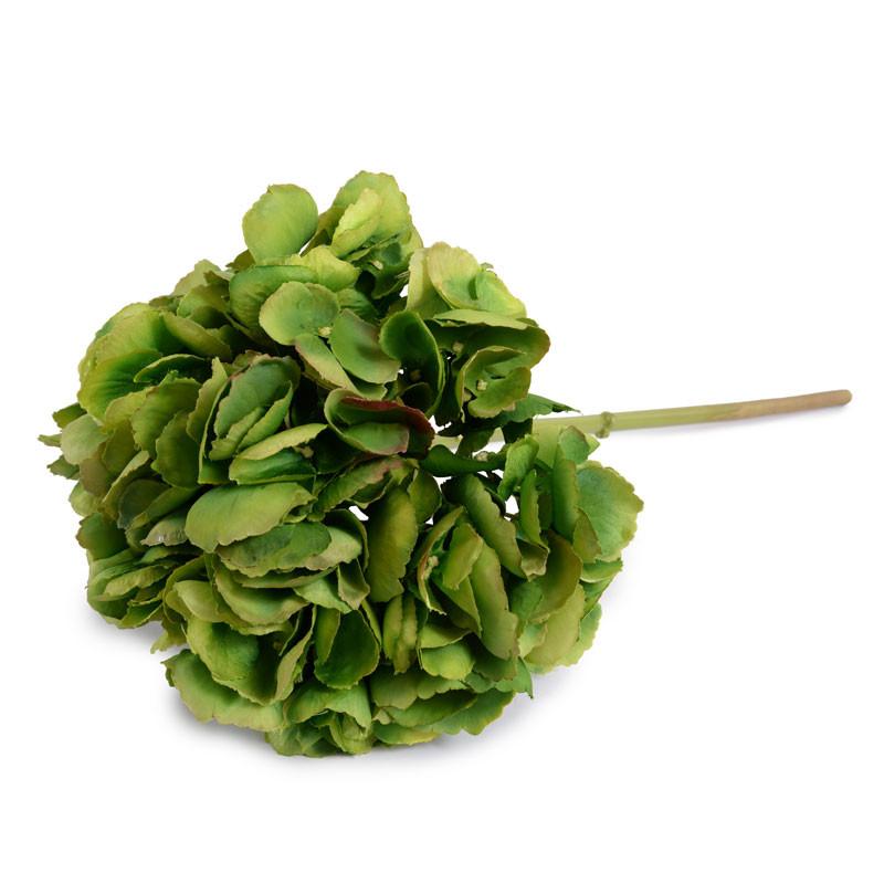 Hydrangea Flower Stem - New Growth Designs