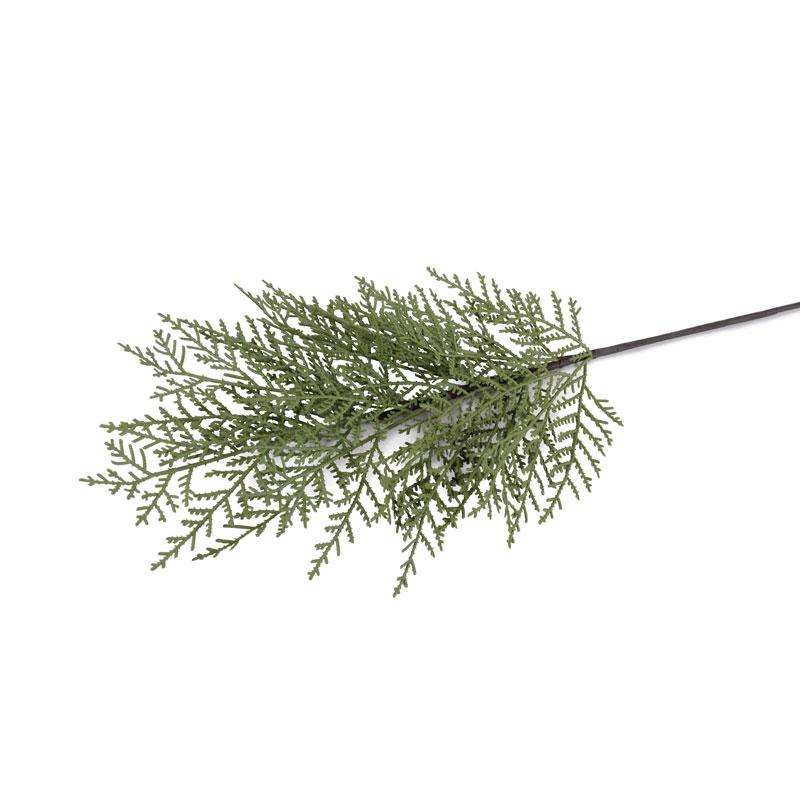 Cedar Spray - New Growth Designs