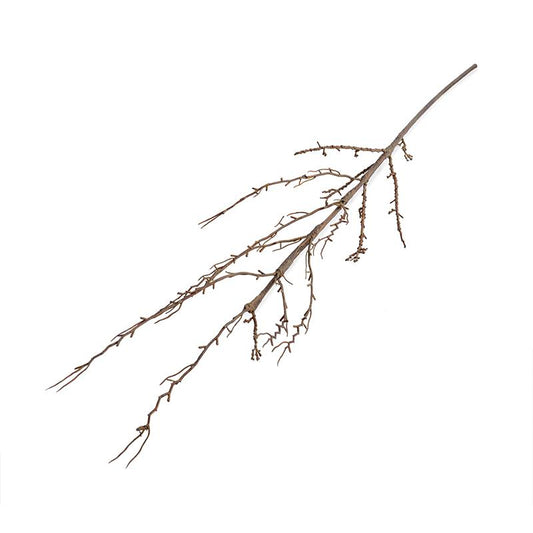 Forsythia Branch