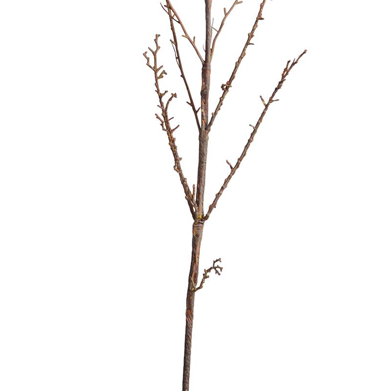 Forsythia Branch