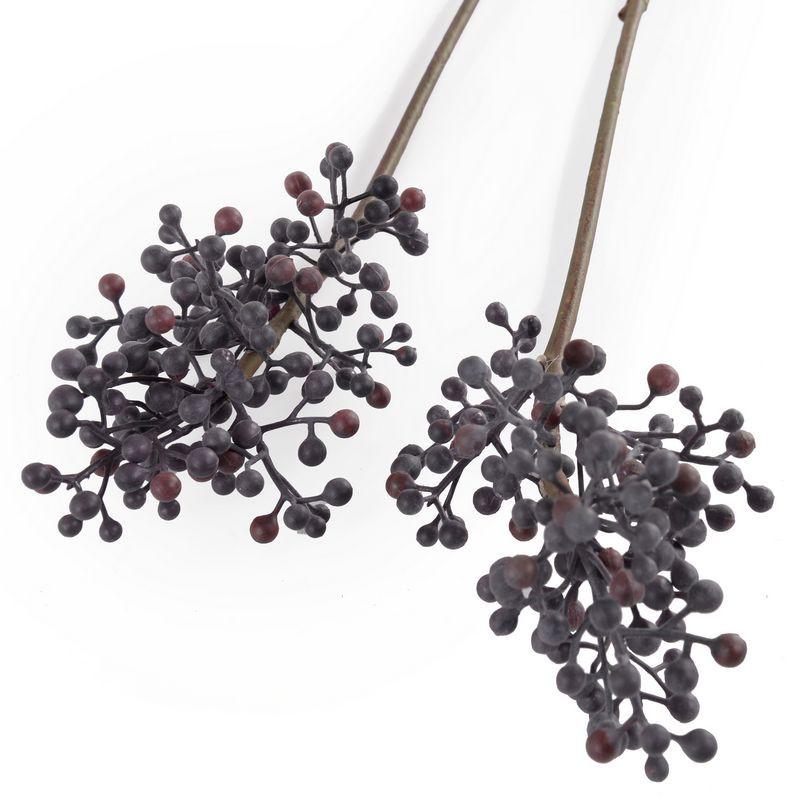 Berry Stem - New Growth Designs