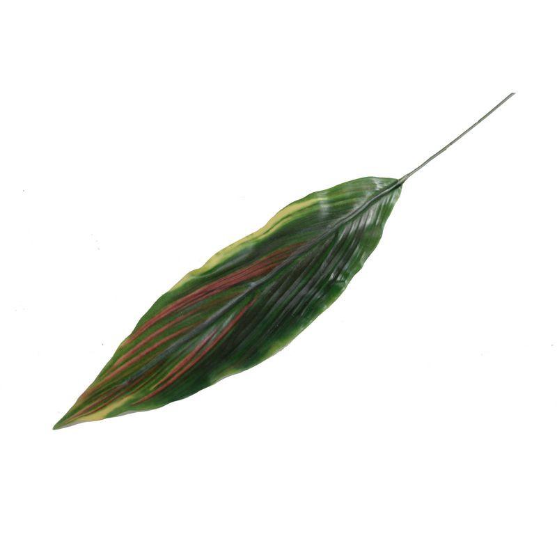 Aspidistra Leaf - New Growth Designs