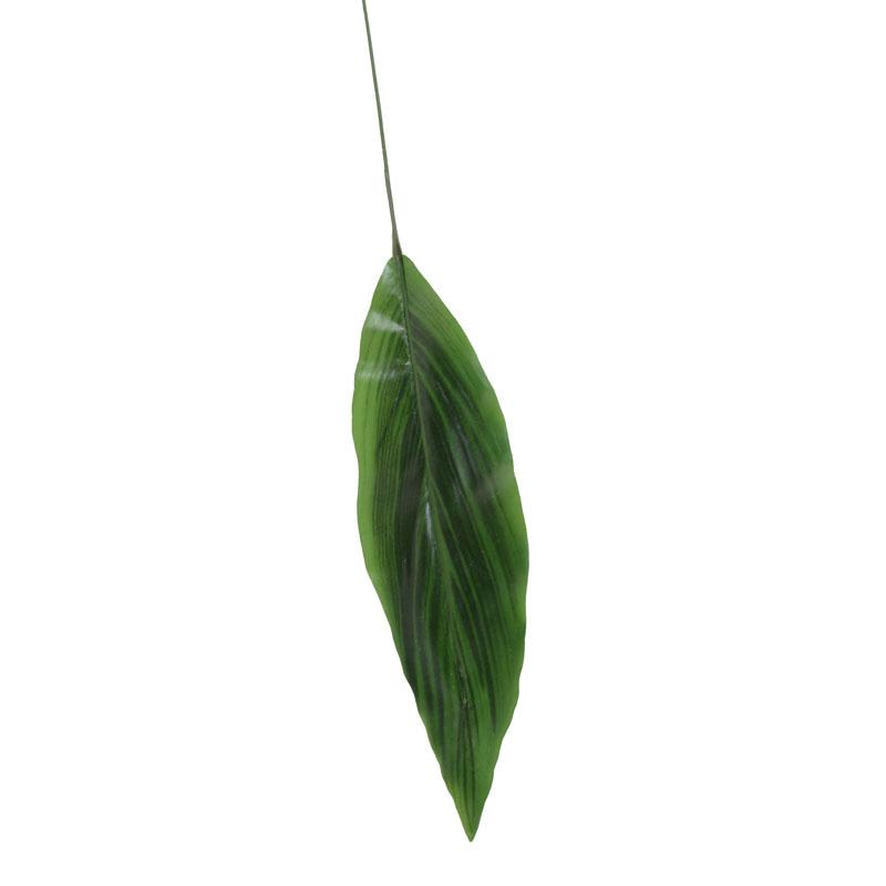 Aspidistra Leaf - New Growth Designs