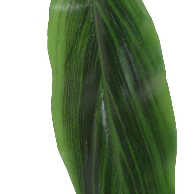 Aspidistra Leaf - New Growth Designs