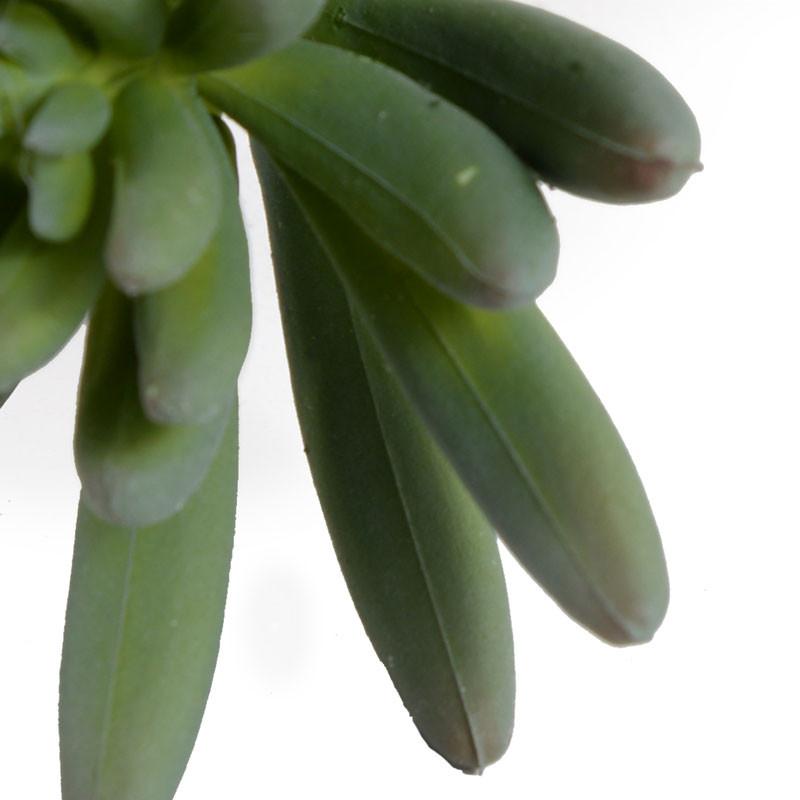 Succulent Stem 16"