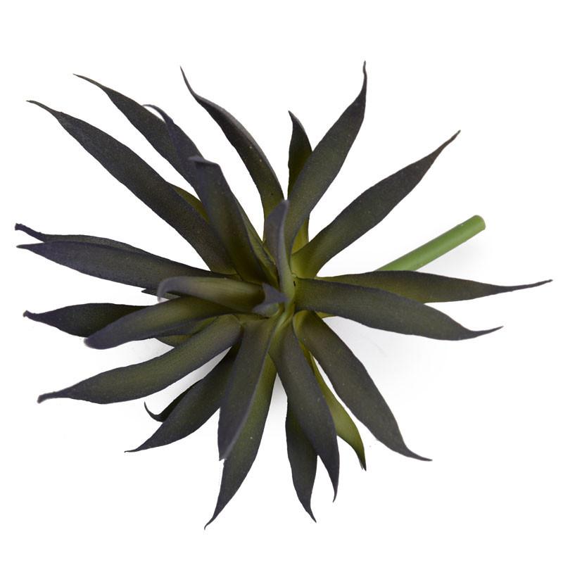 Succulent, Agave 8.5"