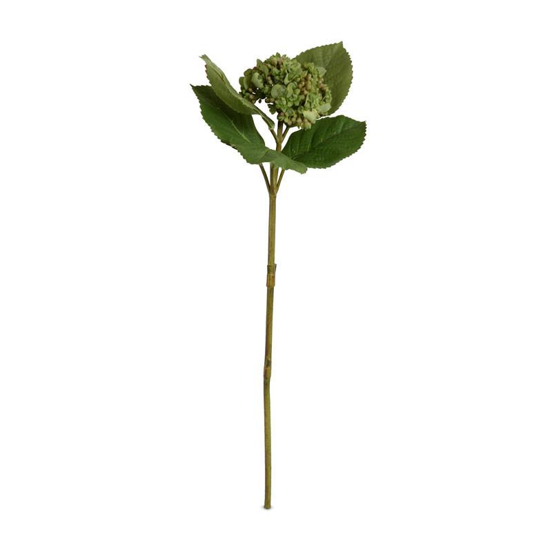 Hydrangea Flowering Bud Stem - New Growth Designs