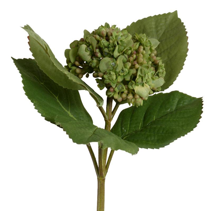 Hydrangea Flowering Bud Stem - New Growth Designs