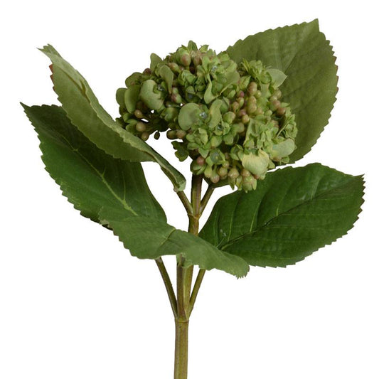 Hydrangea Flowering Bud Stem - New Growth Designs