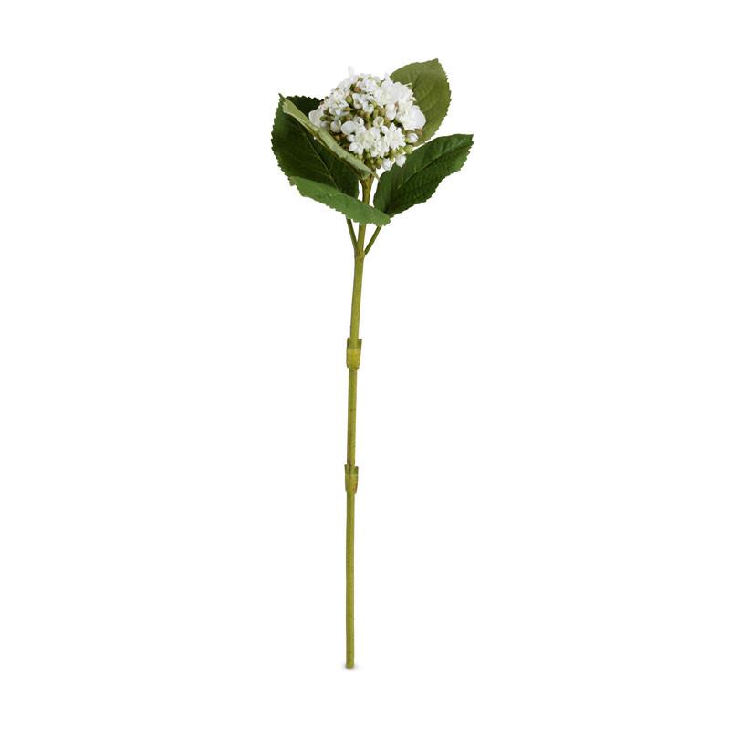 Hydrangea Flowering Bud Stem - New Growth Designs