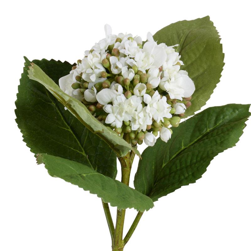Hydrangea Flowering Bud Stem - New Growth Designs