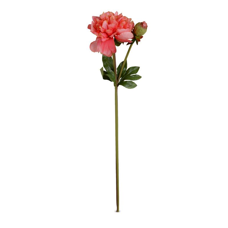 Peony Stem, Large with Bud (Duplicate)