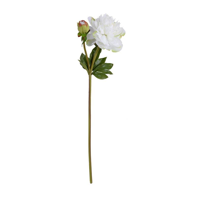 Peony Stem, Large with Bud