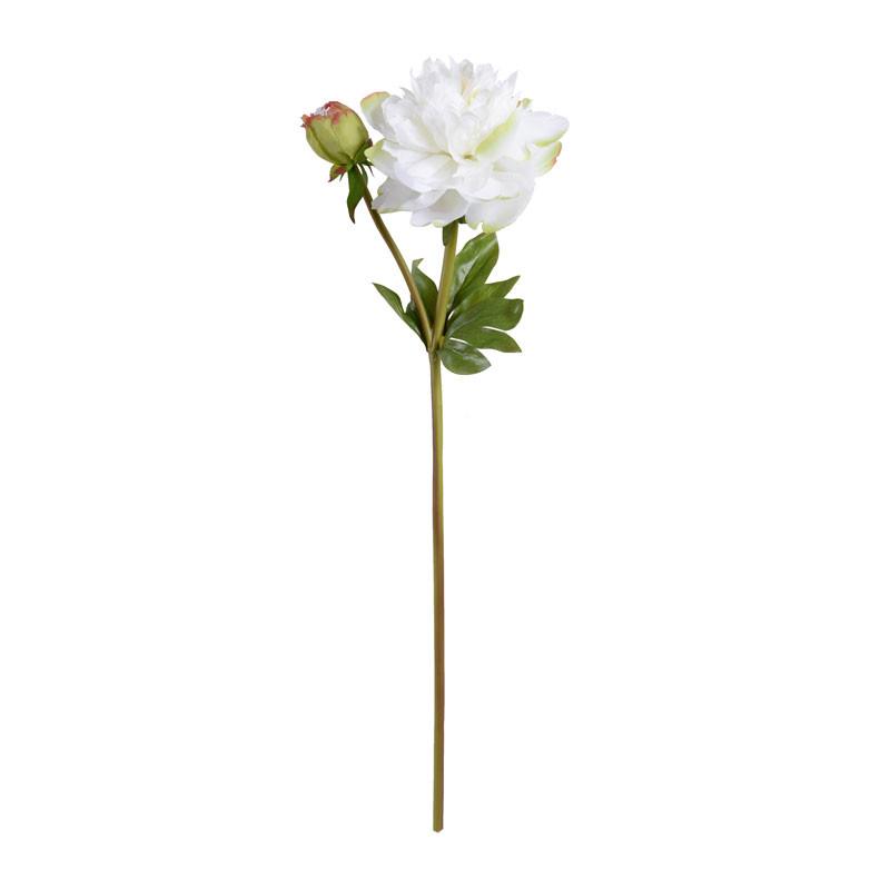 Peony Stem, Large with Bud (Duplicate)