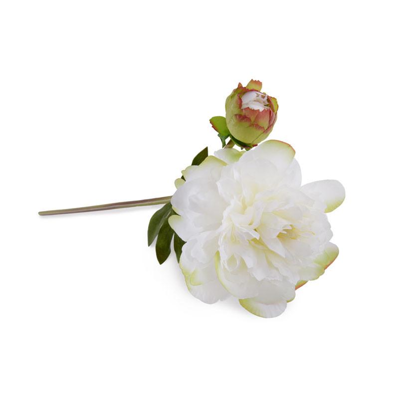 Peony Stem, Large with Bud