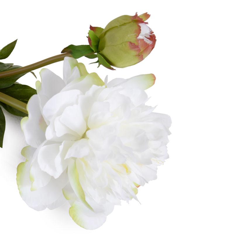 Peony Stem, Large with Bud (Duplicate)