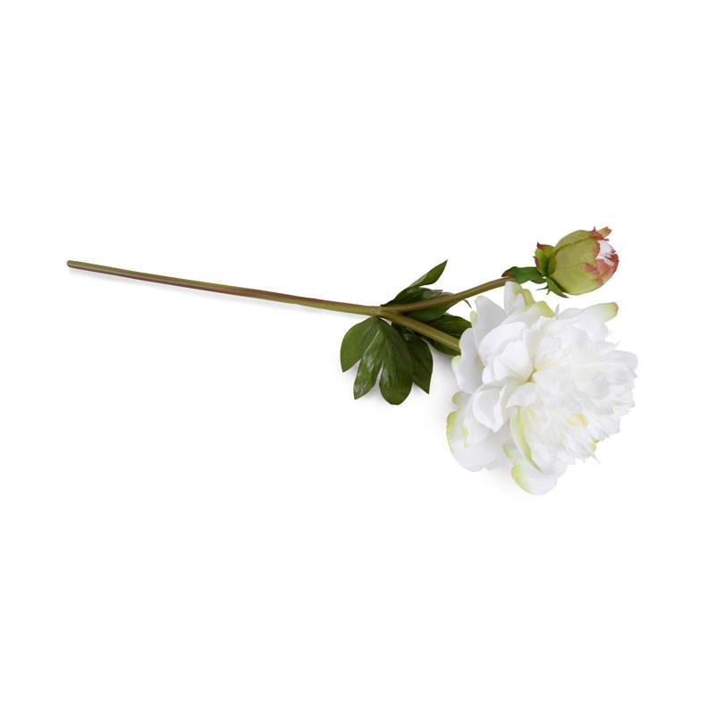 Peony Stem, Large with Bud