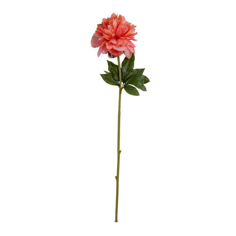 Peony Stem, Large