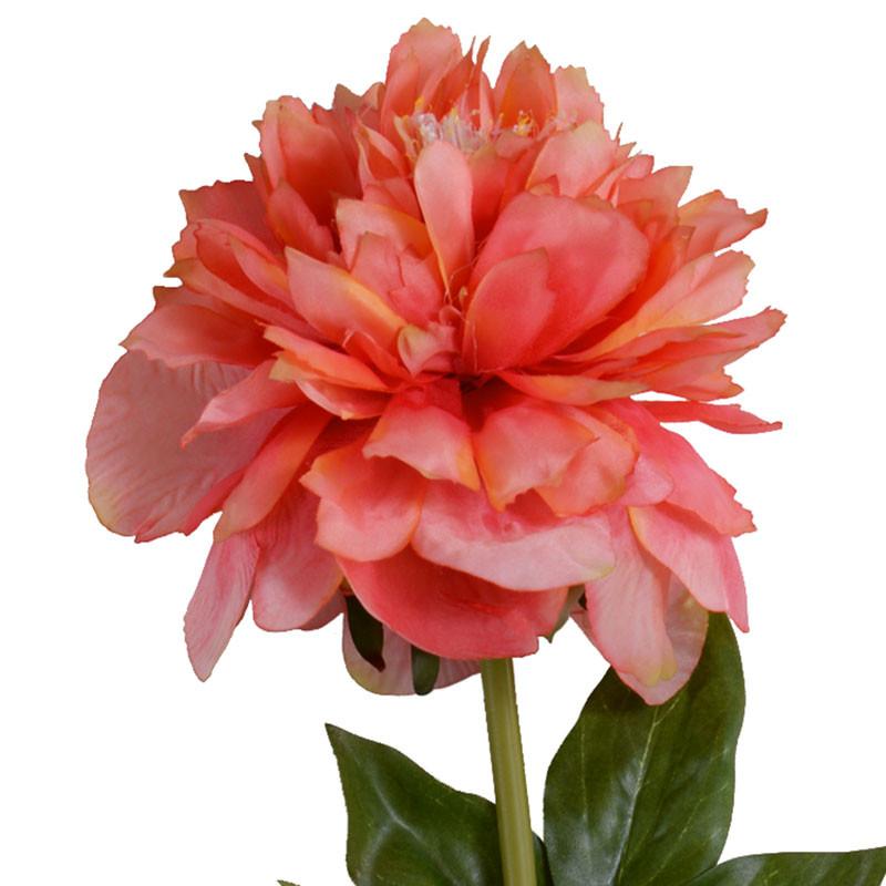 Peony Stem, Large (Duplicate)