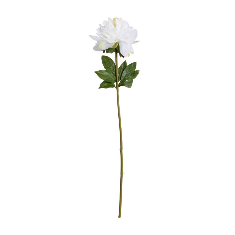 Peony Stem, Large