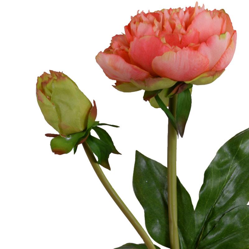 Peony Stem, Medium with Bud