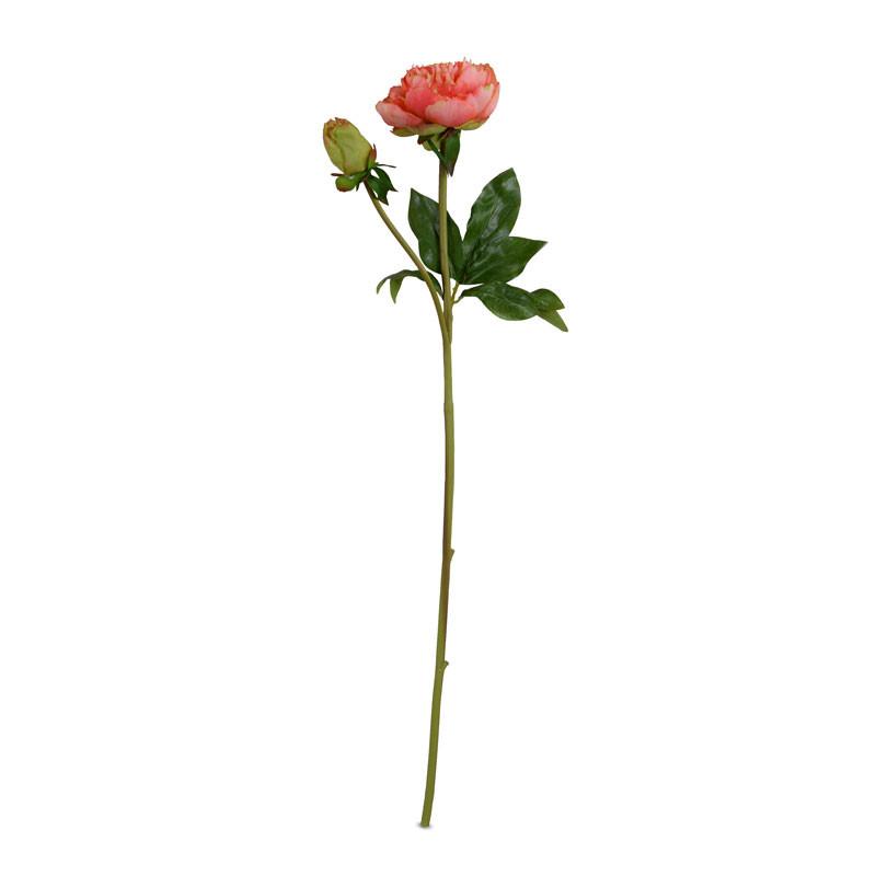 Peony Stem, Medium with Bud (Duplicate)