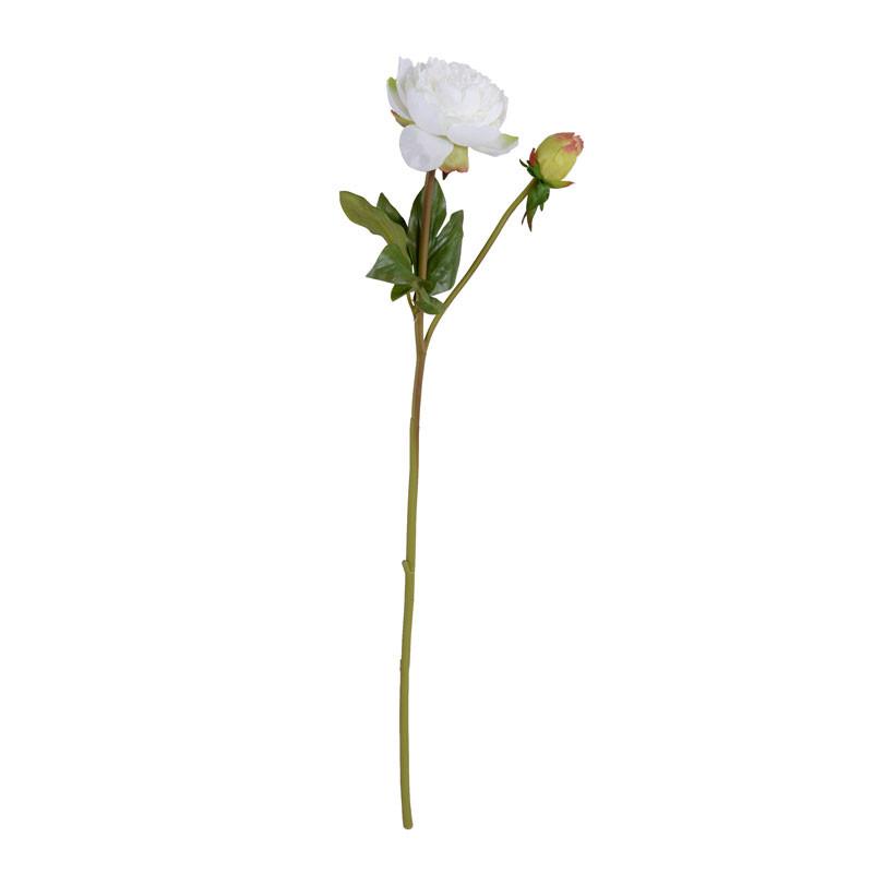 Peony Stem, Medium with Bud (Duplicate)