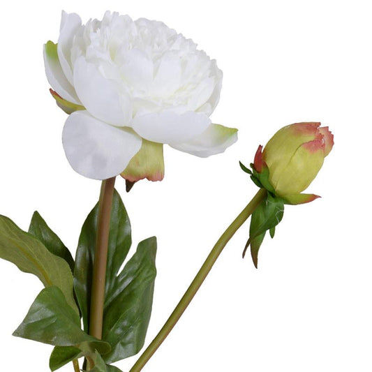 Peony Stem, Medium with Bud (Duplicate)