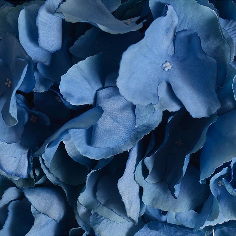 Hydrangea Flower Stem