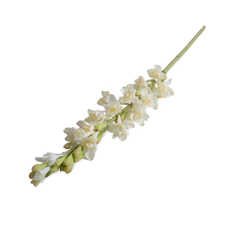 Tuberose flower stem