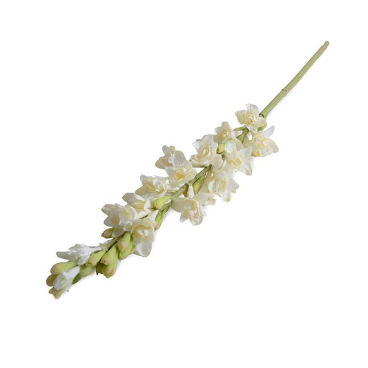 Tuberose flower stem