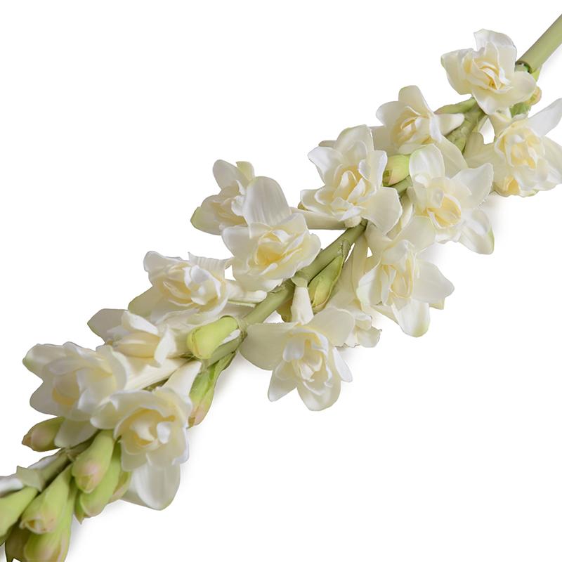 Tuberose flower stem