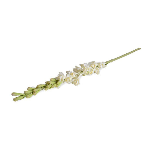 Tuberose flower stem