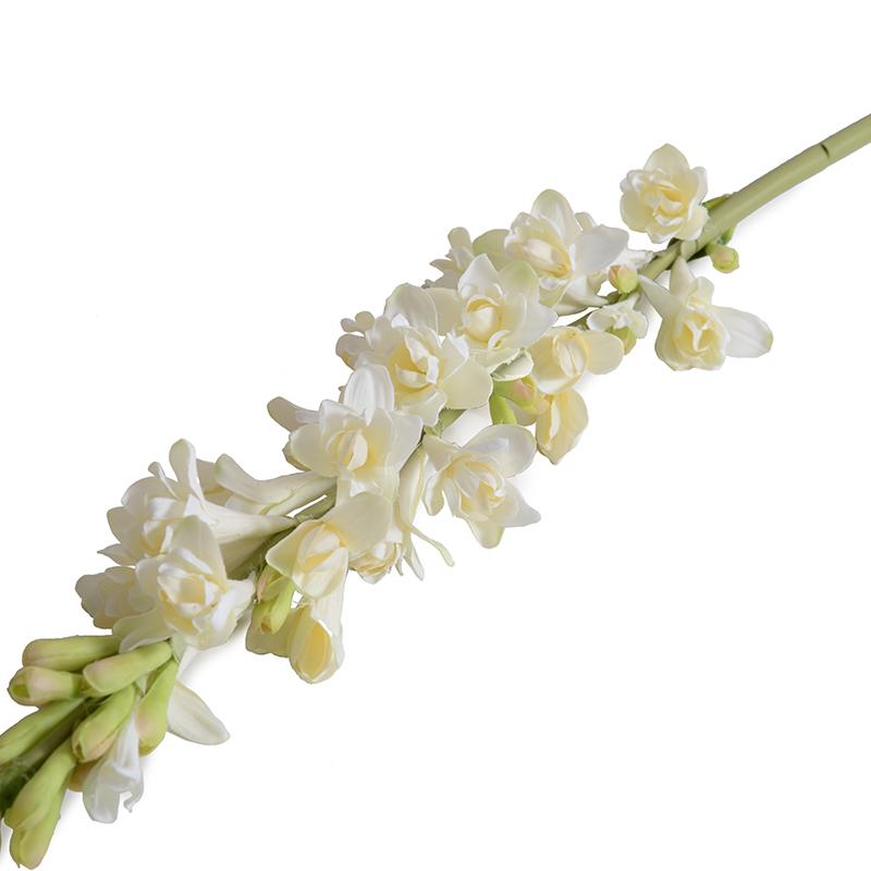 Tuberose flower stem