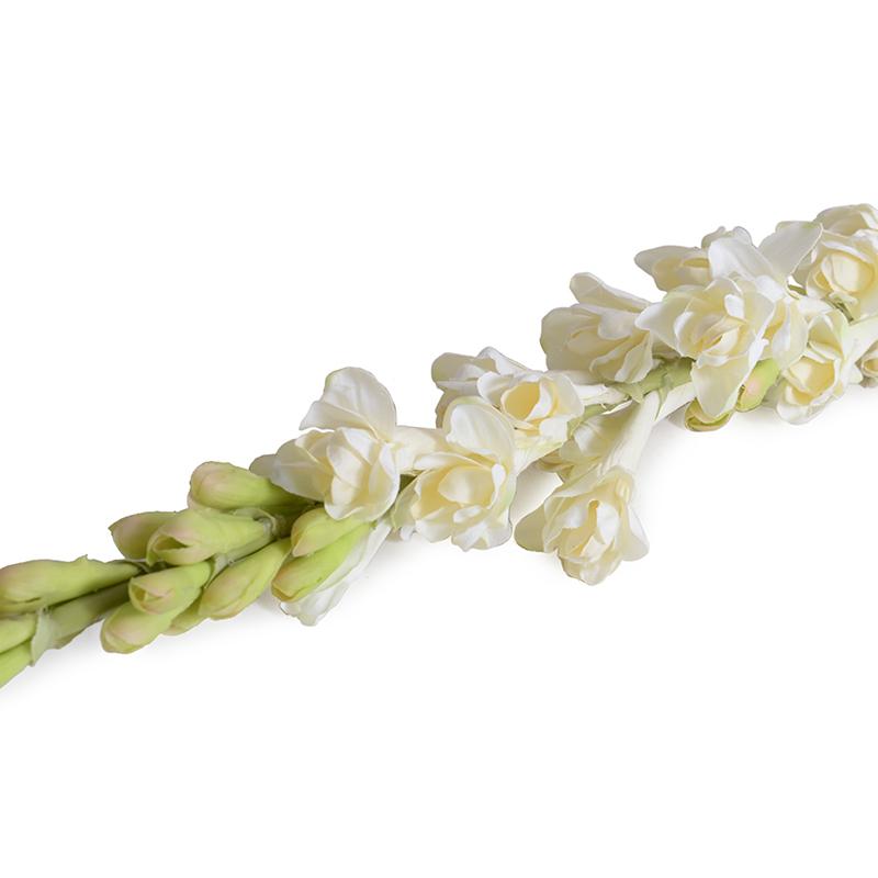 Tuberose flower stem