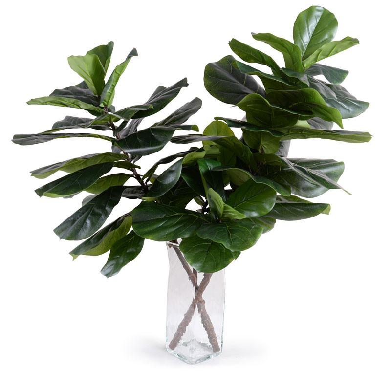 Fiddle Leaf Fig Branches - New Growth Designs