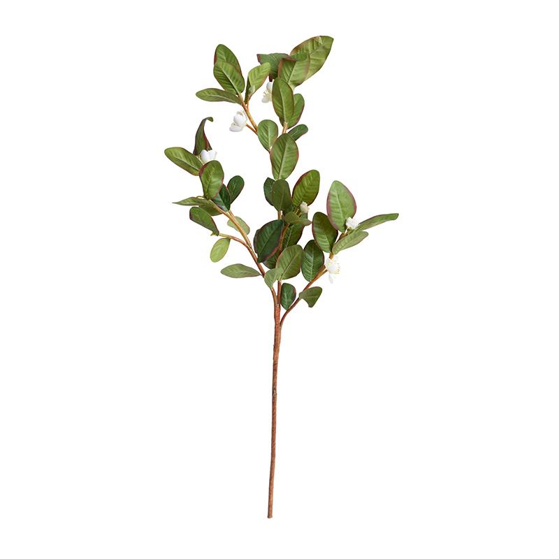 Pomegranate Branch, White Flowers