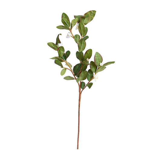 Pomegranate Branch, White Flowers