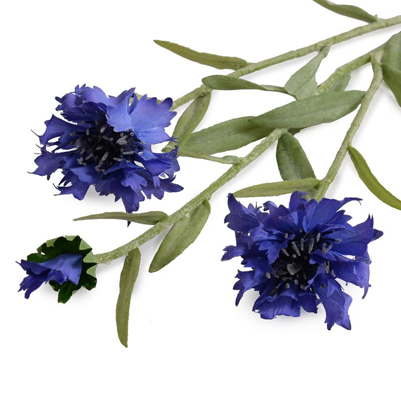 Bachelor's Button stem (Duplicate)