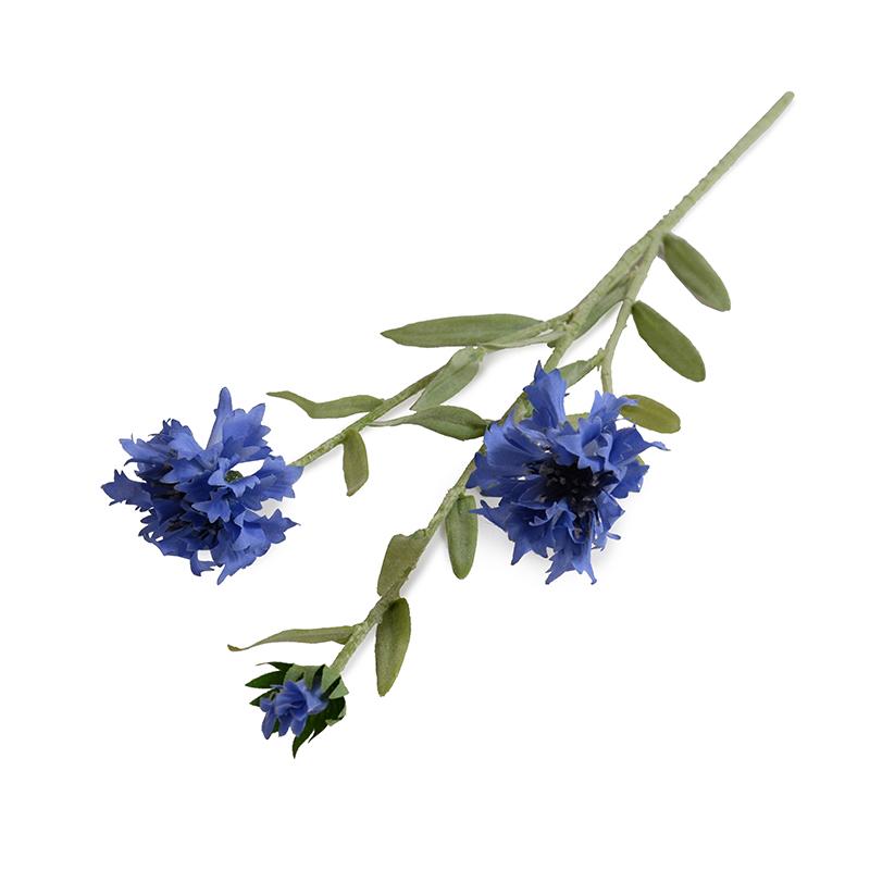 Bachelor's Button stem (Duplicate)