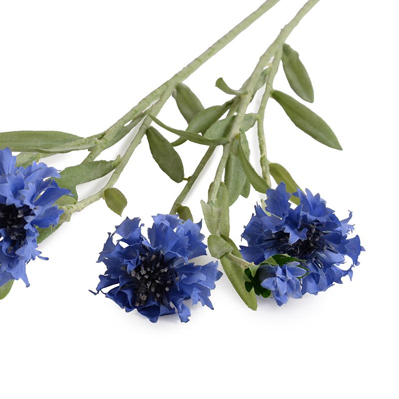 Bachelor's Button stem (Duplicate)