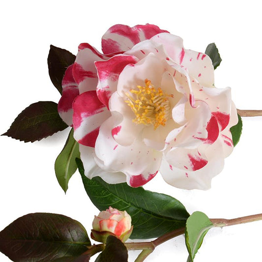 Camellia Flower Stem - New Growth Designs