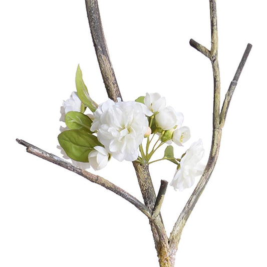 Peach blossom branch