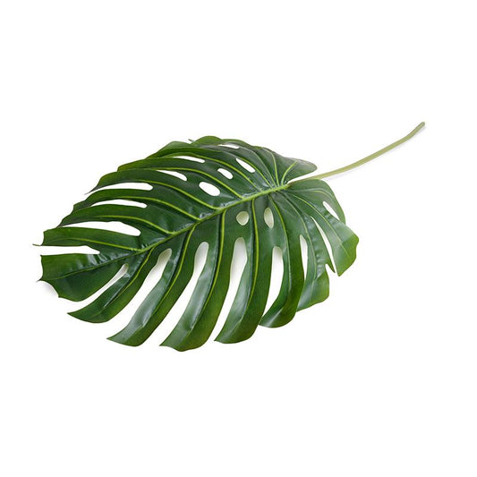 Monstera Leaf, Large