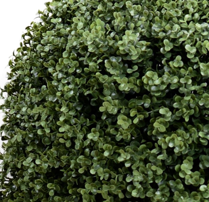 Boxwood Double Ball Topiary - New Growth Designs