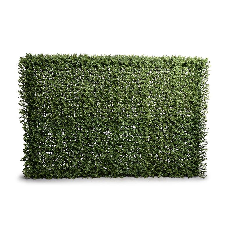 Boxwood Custom-made Hedges, Shapes and Frames - New Growth Designs