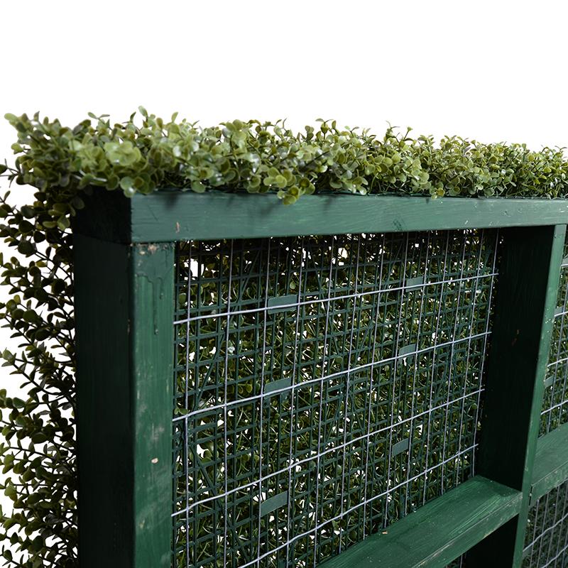 Boxwood Custom-made Hedges, Shapes and Frames - New Growth Designs