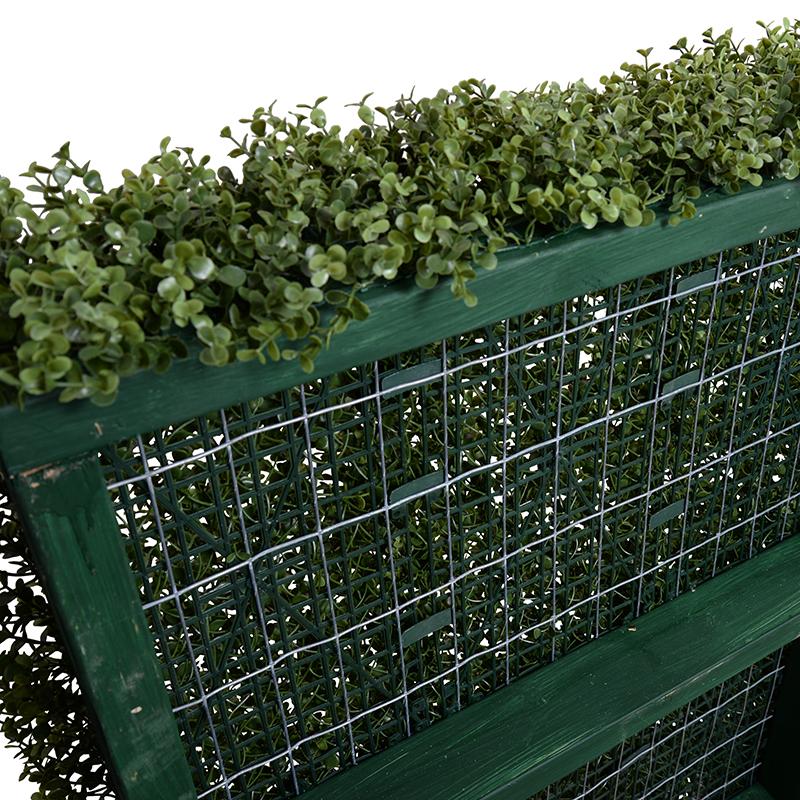 Boxwood Custom-made Hedges, Shapes and Frames